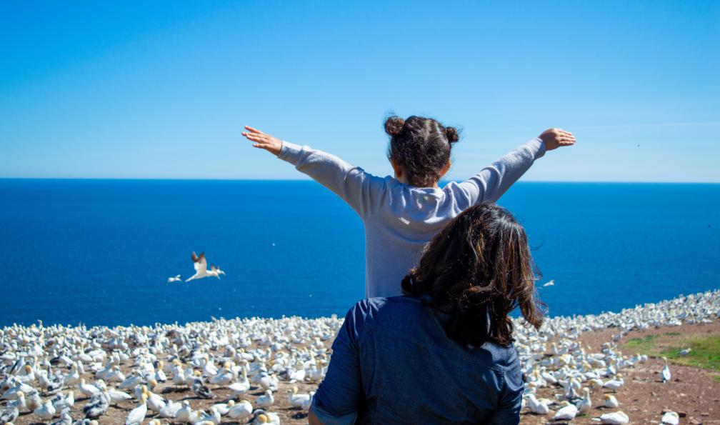 9design - Adobe Stock - Jeune fille imitant les fous de Bassan en Gaspésie au Canada. - Petits aventuriers en roadtrip au Québec - 8