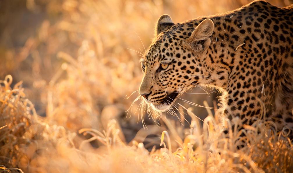 trekking afrique du sud