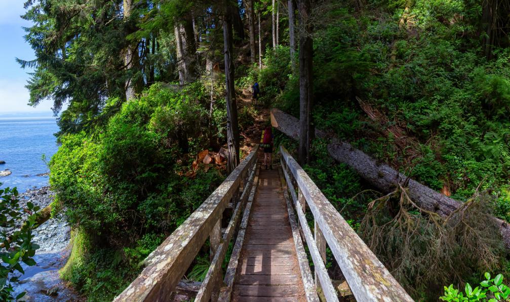 edb3_16 -  istock -  Randonnée Juan de Fuca Trail, île de Vancouver, Canada - Vancouver, escale sur l'océan Pacifique - 2
