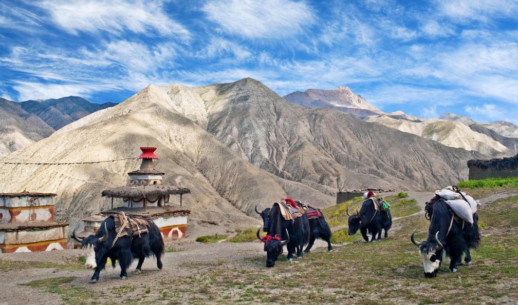 La grande traversée Dolpo-Mustang