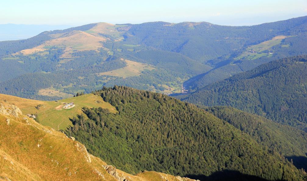 Istock -  Vallée du Munster, Alsace, France. - La traversée des hautes Vosges - 6