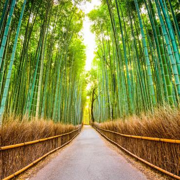 de tokyo à kyoto