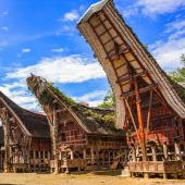 rando sulawesi pays toraja