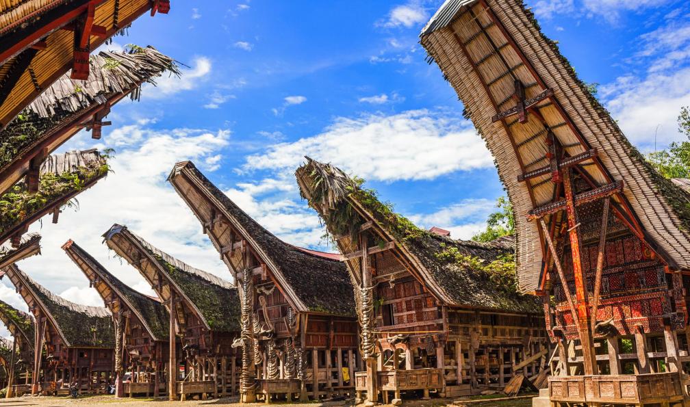 java-rando-sulawesi-pays-toraja