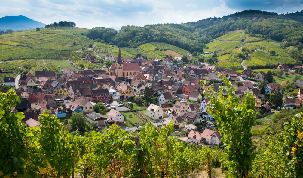 Voigt - Tanja - Adobe stock - Le village entouré de vignes de Niedermorschwihr en Alsace - Trek alsacien, entre vignes et montagnes - 5