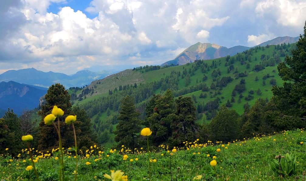 Pellequier - Lucie - Randonnée des trois cols Dévoluy, Alpes, France - Au coeur du Dévoluy - 12