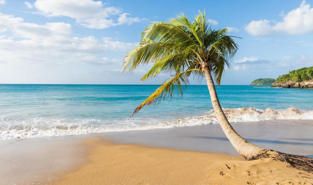 guadeloupe-sejour-libre-et-nature-guadeloupe