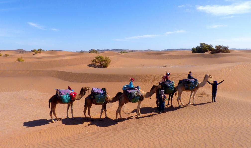 Pellotier -  Christelle -  Randonneurs et chameaux dans les dunes de l'erg Essahel, Maroc - Le petit prince - 3
