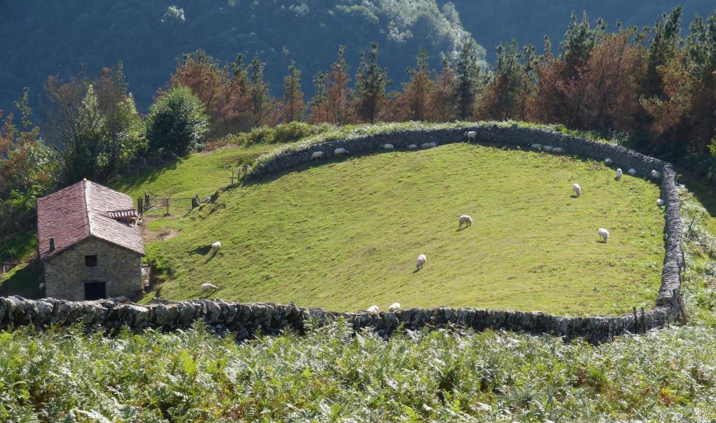 Pixabay 3802258 - Ferme et prairie, Navarre, Pays basque. - Rando-balnéo au Pays basque - 5