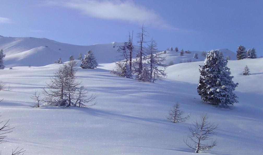 Plateau du Piémont sous la neige, Alpes, Italie. - Sommets du Val Maira à raquettes - 4