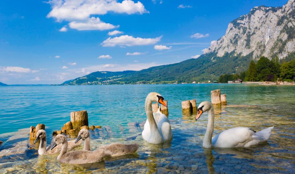 eurobike -  Vélo et randonnée autour des lacs de Salzbourg - Vélo en famille au coeur des lacs de Salzbourg - 9