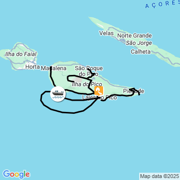 baleines açores
