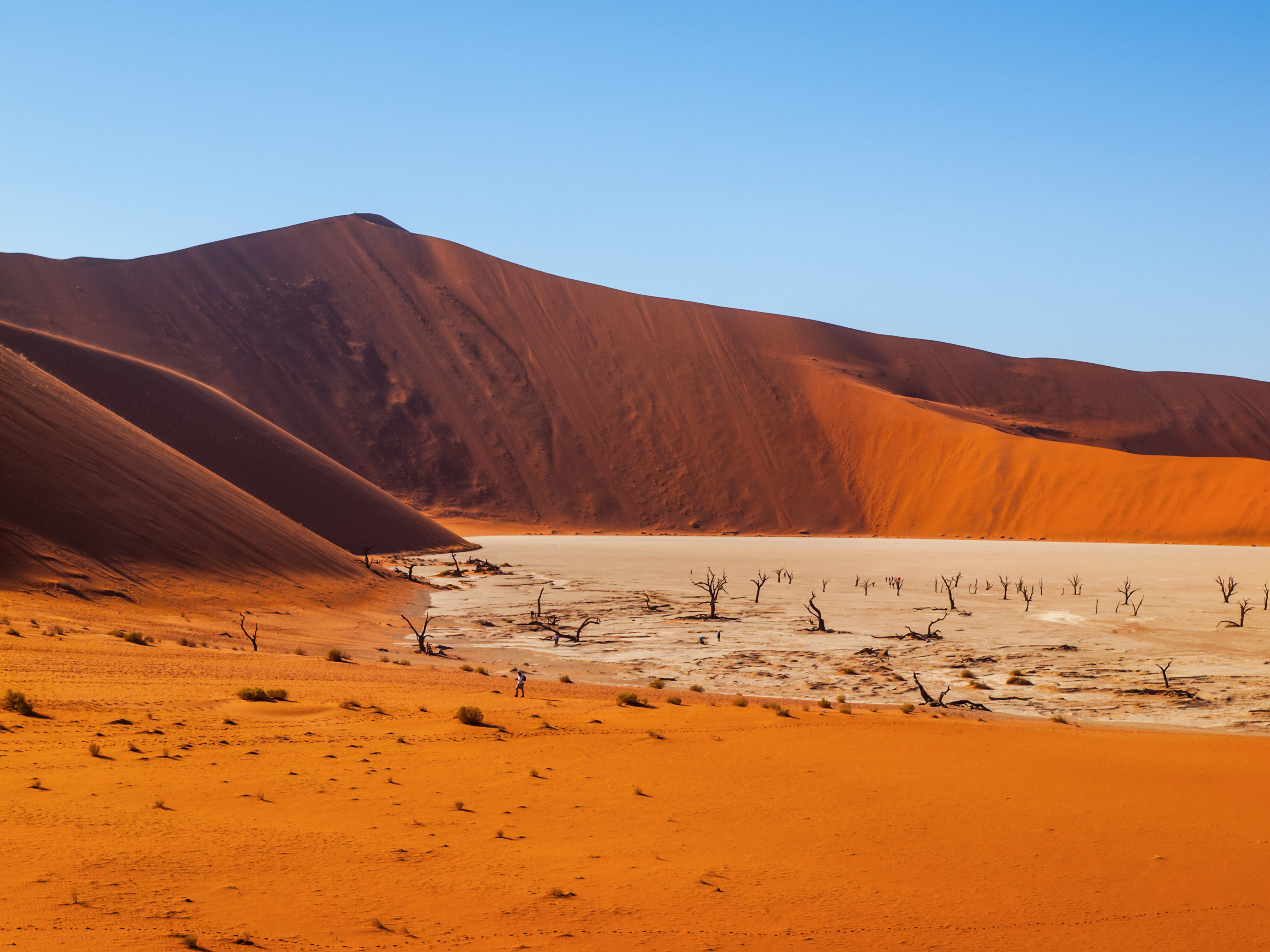 namibie désert