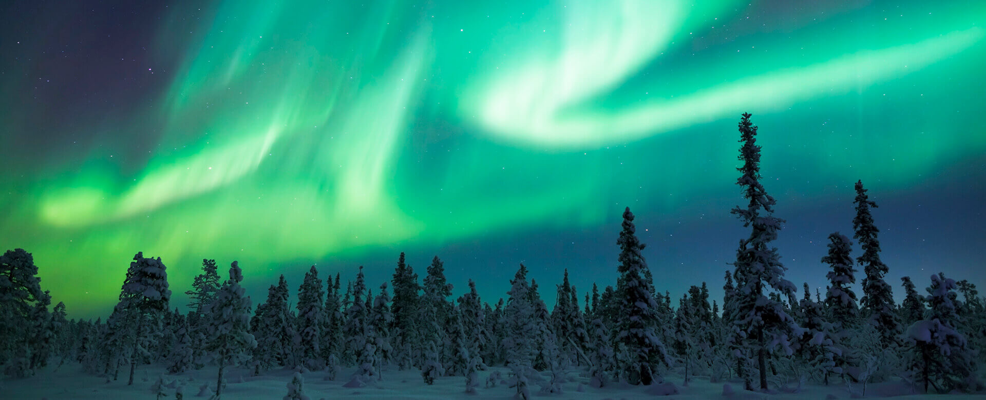 Aurore boréale en Finlande
