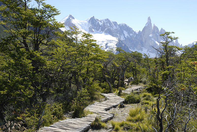 Cerro Torre Patagonie