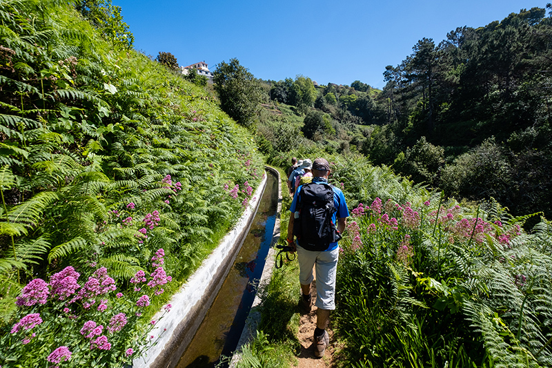 Levada Madère