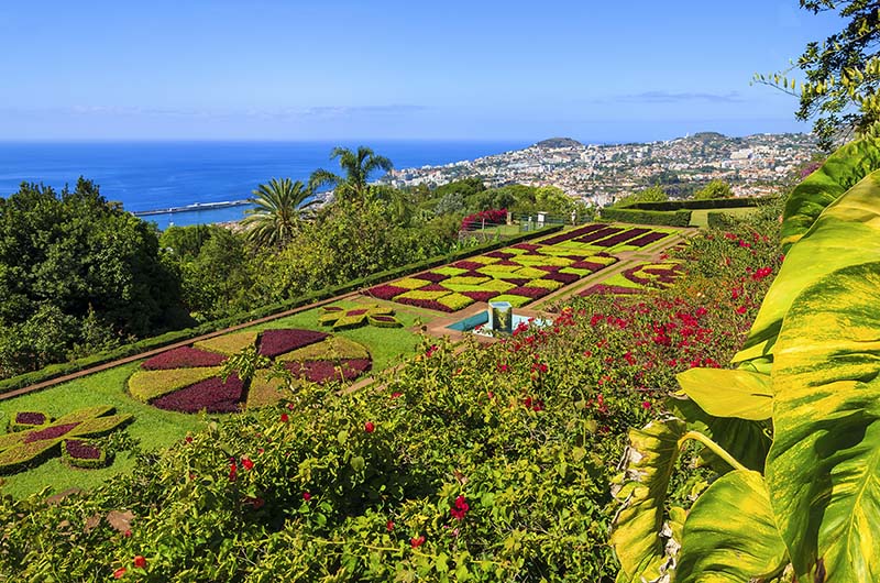 Jardin botanique Madère