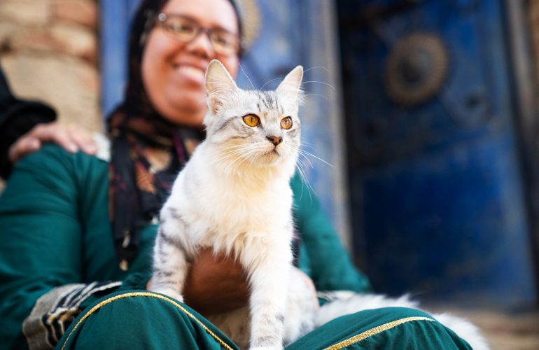 Chat Égypte