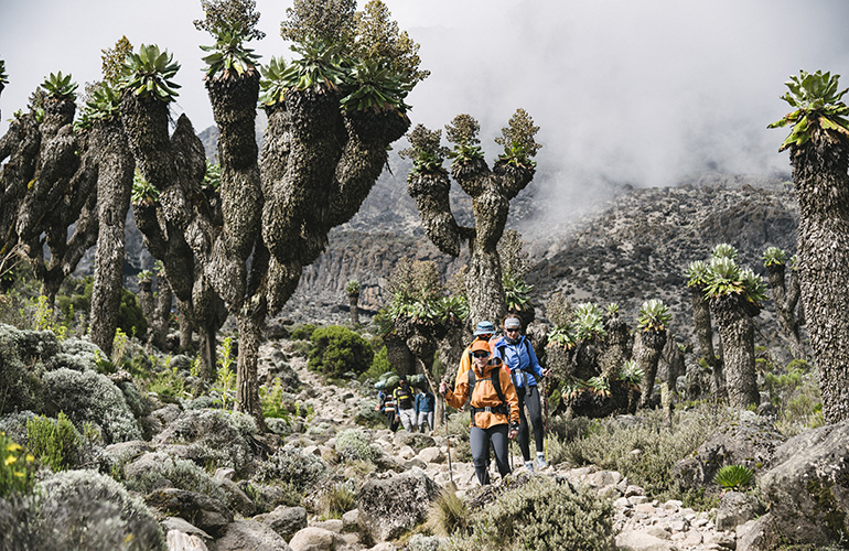 Photo : Marc Daviet Randonneurs sur l'ascension du Kilimandjaro, Tanzanie