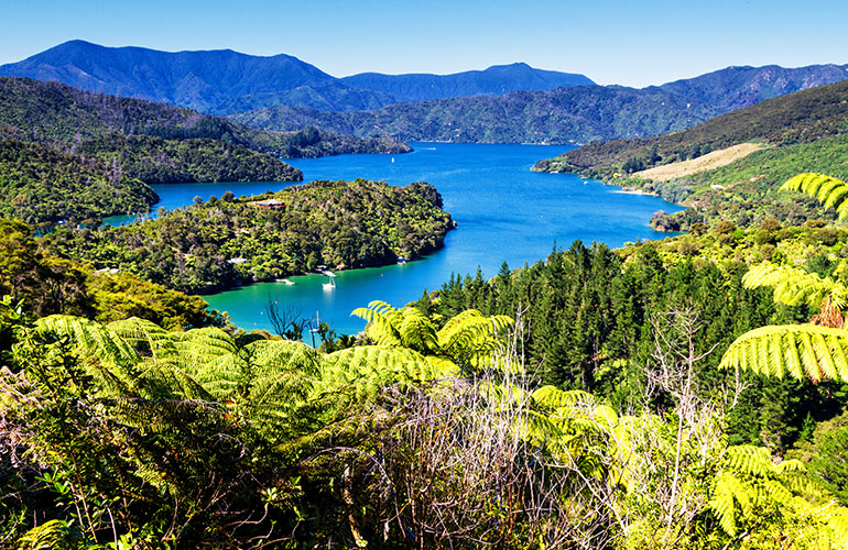 Nouvelle-Zélande, Le parc national Abel Tasman
