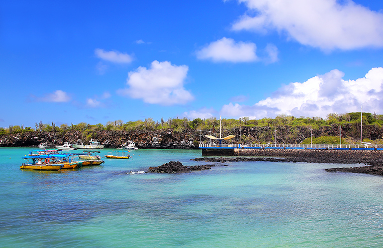Port de Puerto Ayora sur l'île de Santa Cruz, parc national des Galápagos, Équateur