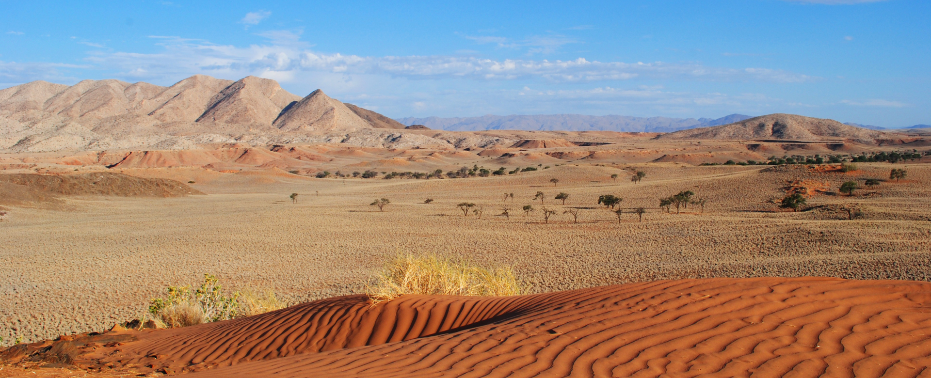Paysage namibien, du sable à la roche, Namibie