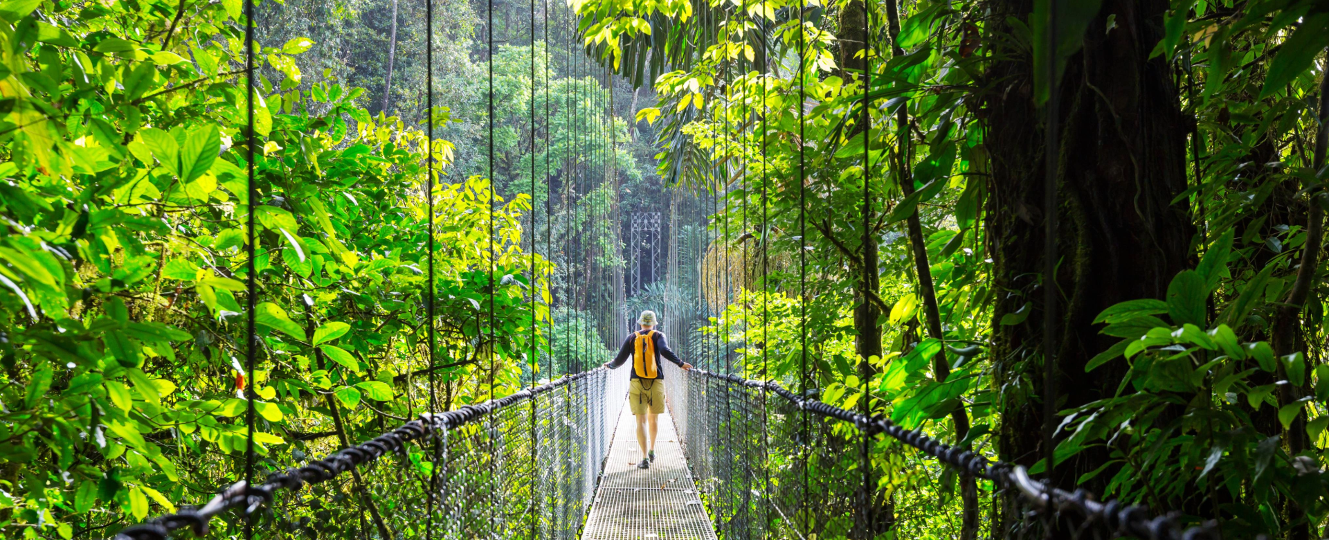 Randonneur sur une passerelle dans la jungle costaricienne
