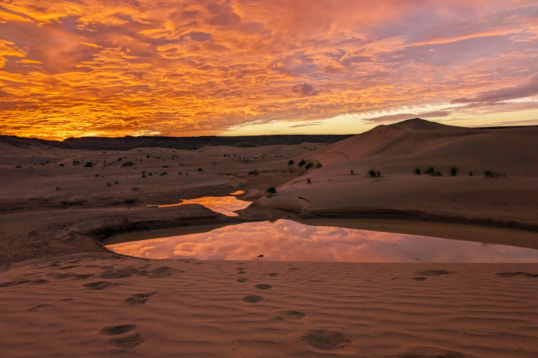 Lever de soleil sur l'erg (désert de dunes) au Maroc.