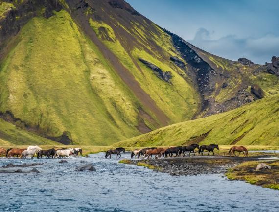 Paysages d'Islande