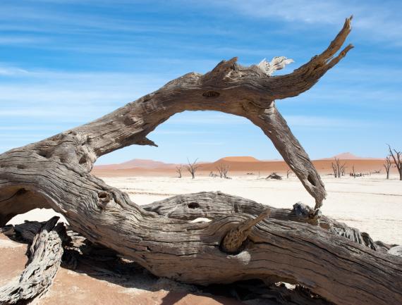 Deadvlei Namibie