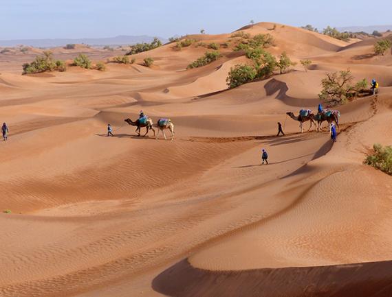 Randonneurs en famille, avec les chameaux et les guides dans les dunes de Lanithie, Maroc