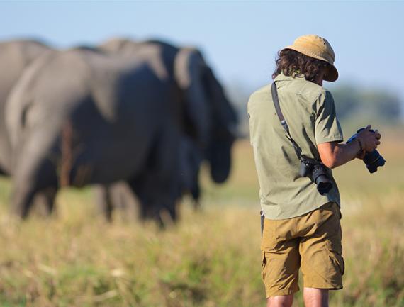 Touriste photographiant des éléphant dans la savane, Safari, Afrique du Sud