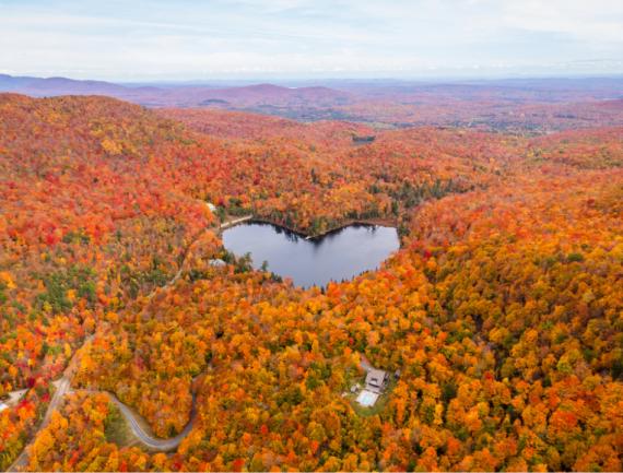 canada coeur automne forêt lac
