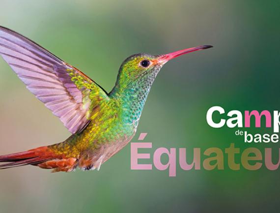 Camp de base Equateur