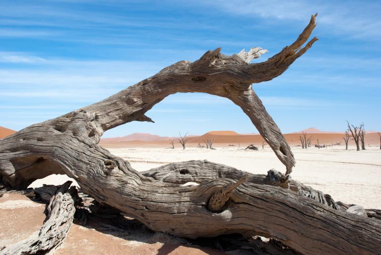 Deadvlei Namibie