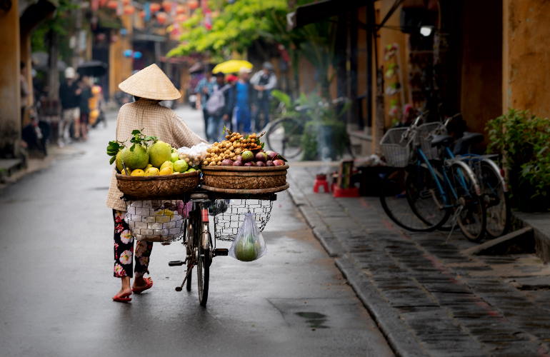 Vietnam image principale