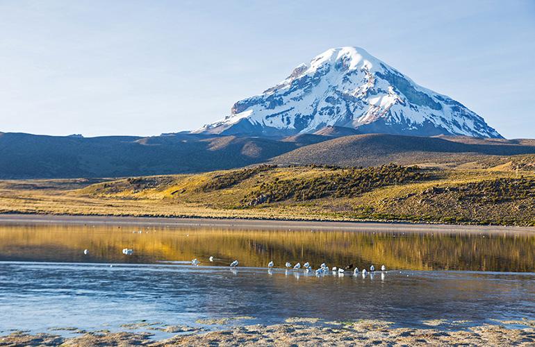 Volcan Sajama et lac Huaynacota dans les Andes, Bolivie.