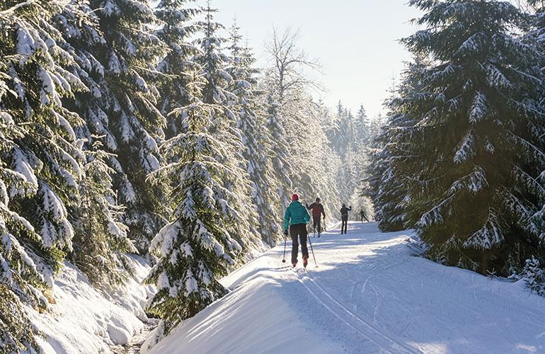 Ski de fond en groupe, France