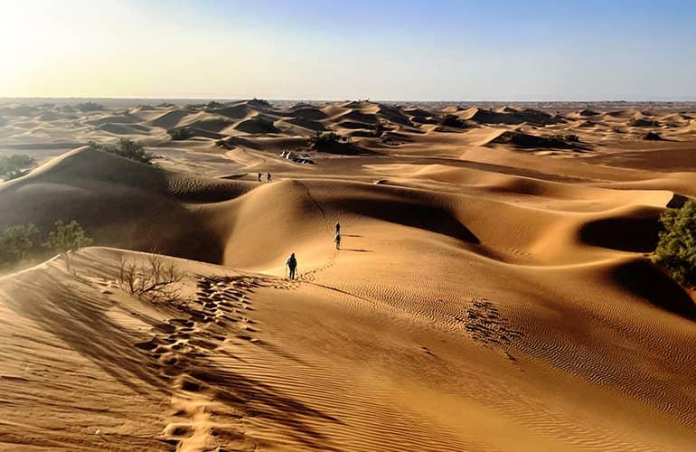 Randonnée dans les dunes, vallée du Drâa, Maroc.