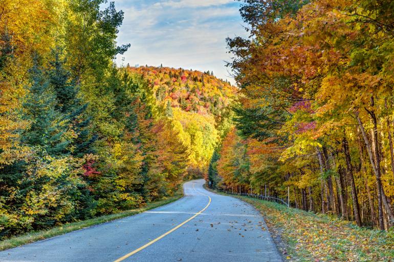 Road trip au travers du parc national de la Mauricie au canada.