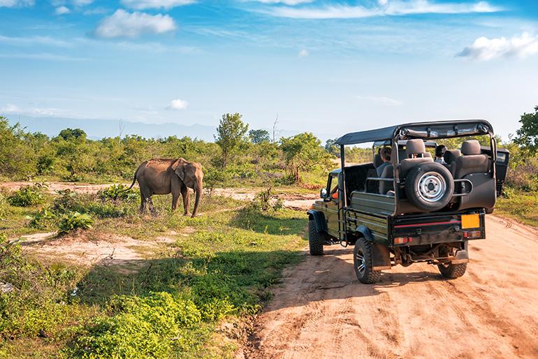 Touristes en safari dans une réserve privée en 4x4 admirant un éléphant, Afrique.