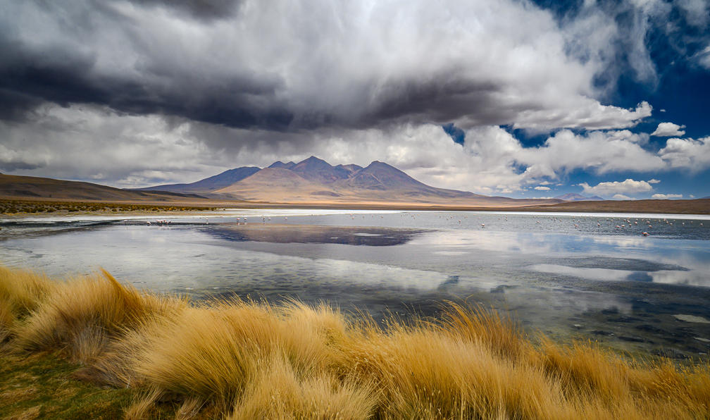 © Pierre C. - Les volcans du Sud-Lípez (21 j) - 8