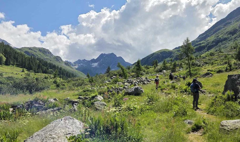 © Olivier F. - Rando-forme dans le Valais - 8