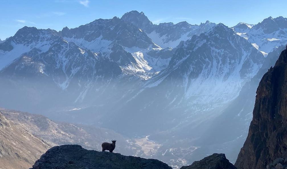 © Didier P. - Découverte du Val Maira à raquettes - 12