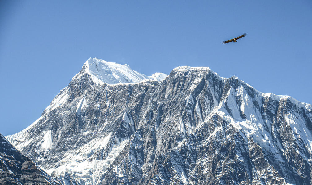© Yoan C. - Le tour des Annapurnas - 6