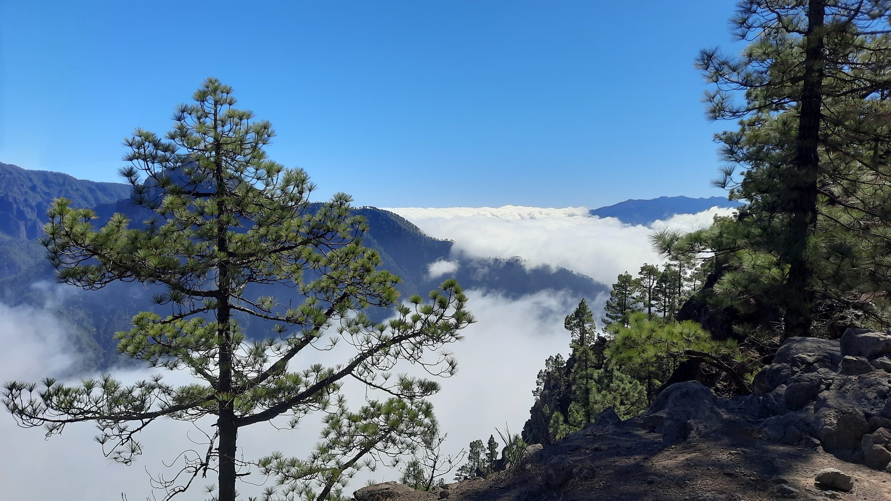 Randonnée la palma - La Palma, isla bonita - Randonnée - Espagne ...