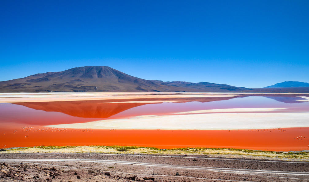 © Pierre C. - Les volcans du Sud-Lípez (21 j) - 10