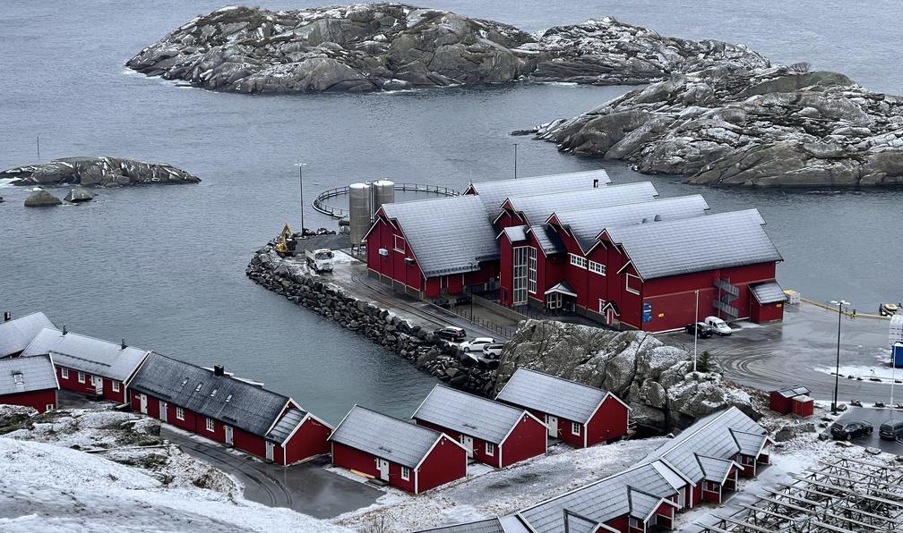 © Sara S. - Raquettes et aurores boréales en Lofoten - 12