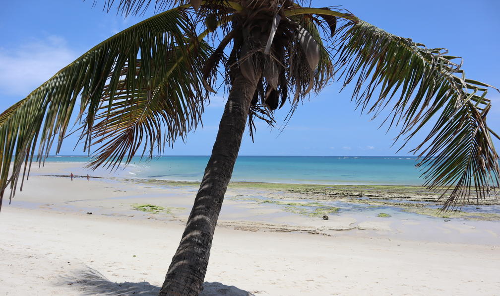 © Alexia L. - Safari kenyan et plages de sable blanc - 10