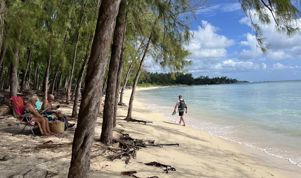 © Olivier B. - Cimes et lagons de l'île Maurice - 6